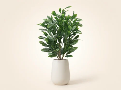 Snowball Viburnum Bush (exterior) ID# VIB127+