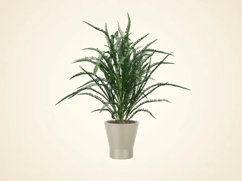 Large Fake Sword Fern Plants Outdoor