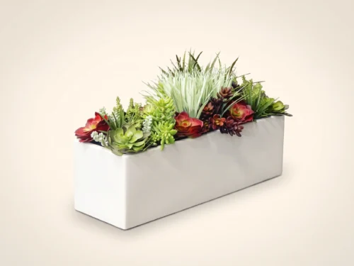 Succulent Planters ID# SUCL1