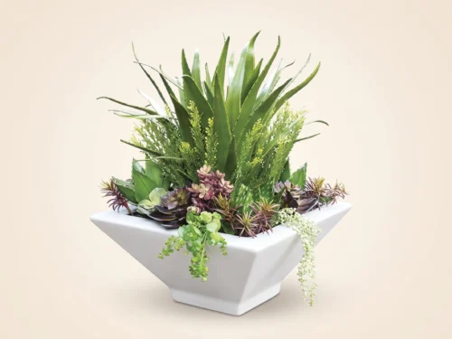 Succulent Arrangement ID# CUSTDIS2