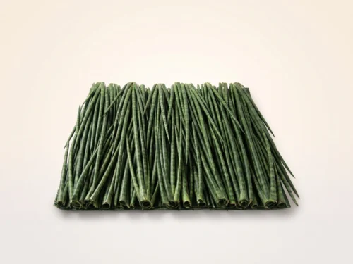 Faux Snake Grass Plant ID# P63751PS