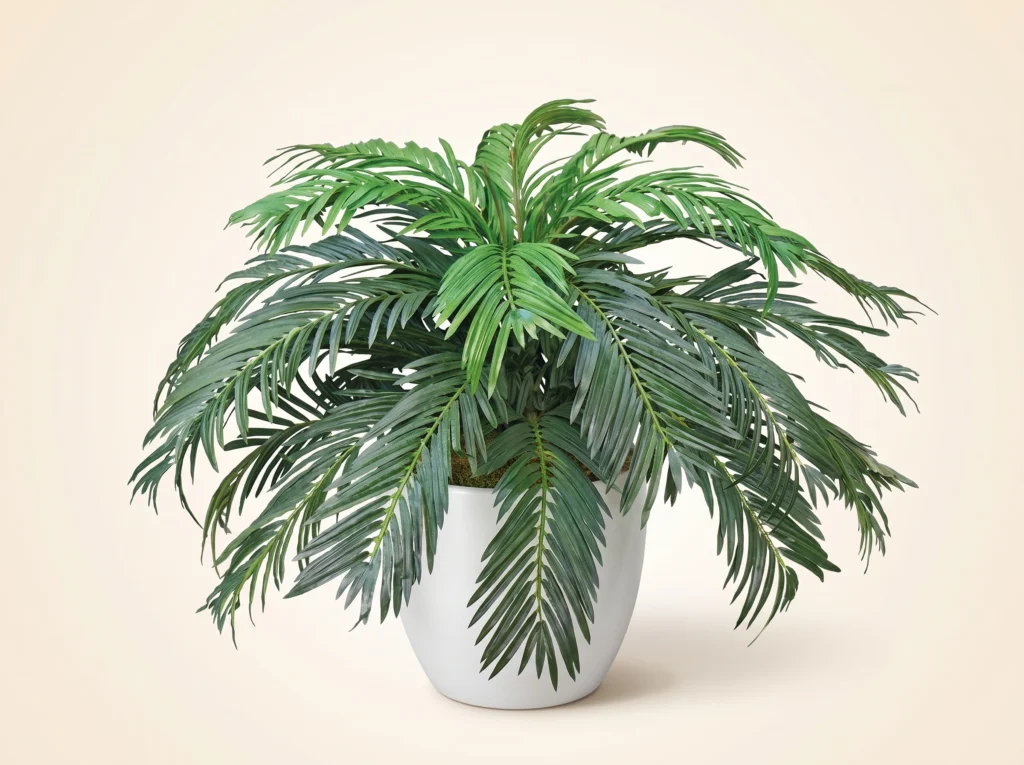 Artificial Sago Palms in Pots