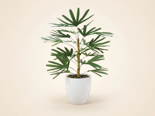 Rhapis Palm Bush, Molded Stem ID# PRA#27