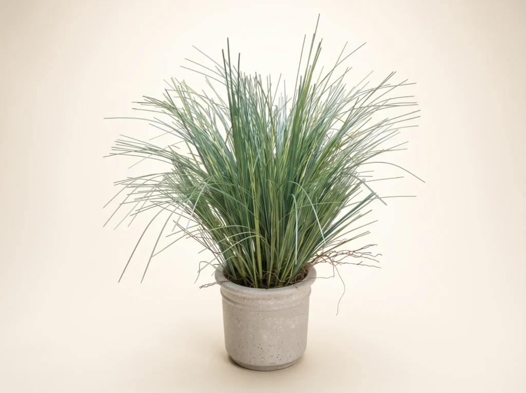 Faux Prairie Grass Plant