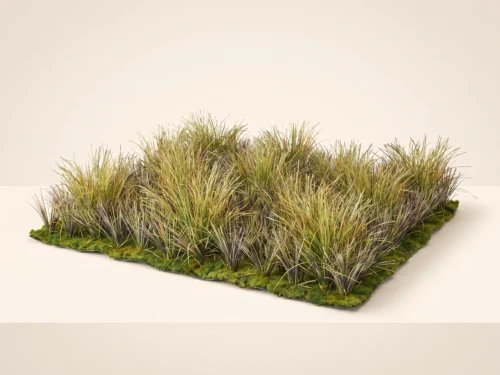 Ornamental Prairie Grass for Landscaping ID# 12414