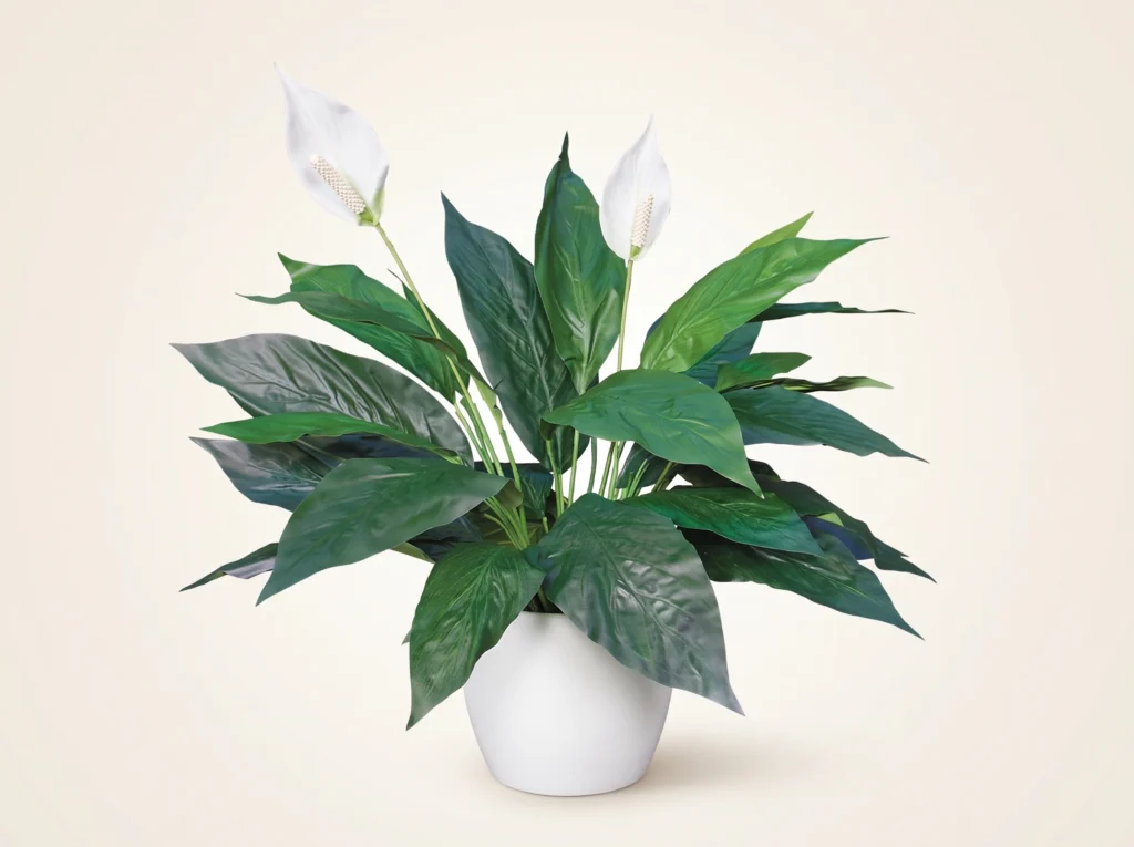 Artificial Peace Lily Plant