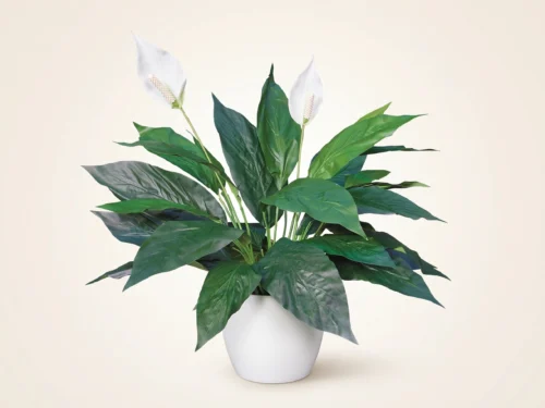Peace Lily Plant - Fake Floor Plants ID# PLS212, PLL328
