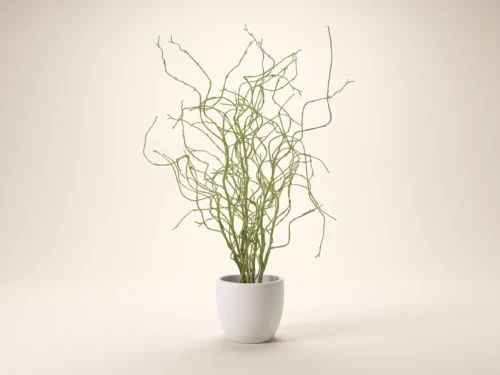 Palo Verde Plant ID# PVD236