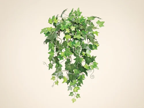 Needlepoint Ivy Vine ID# NPI#10