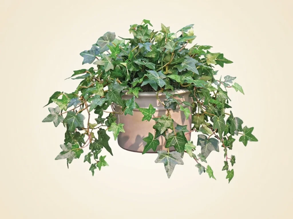 Artificial Needlepoint Ivy Vines