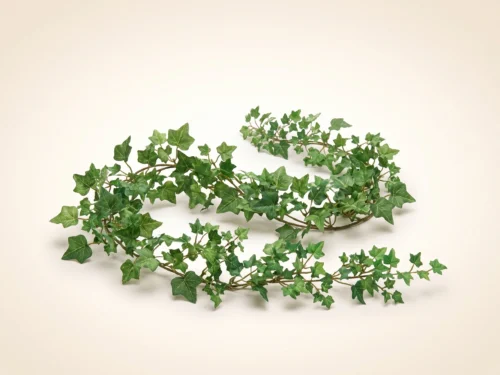Needlepoint Ivy Garland ID# NPI#72