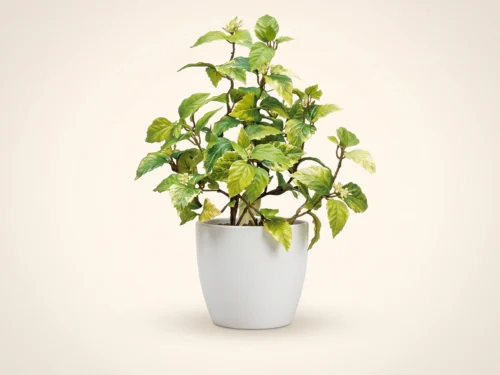 Mountain Birch Plant - Artificial Indoor Plants ID# BMT218