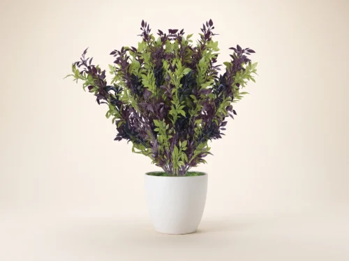 Marigold Bush ID# MAR216++
