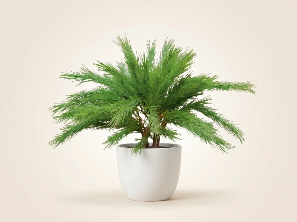 Artificial Limber Pine Plant