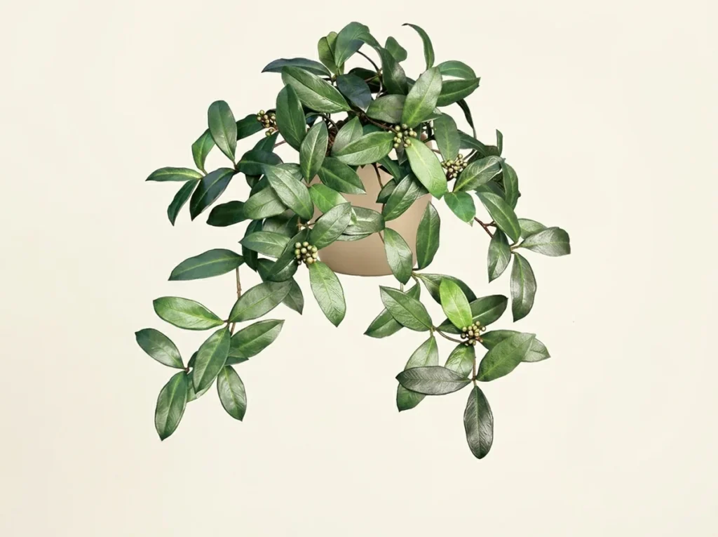 Artificial Sweet Bay Laurel Vines Plant