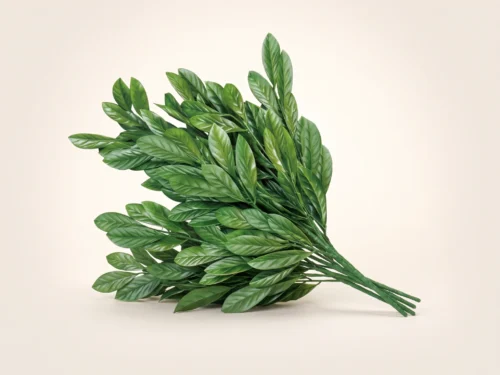 Laurel Leaf Bush ID# VIB+24
