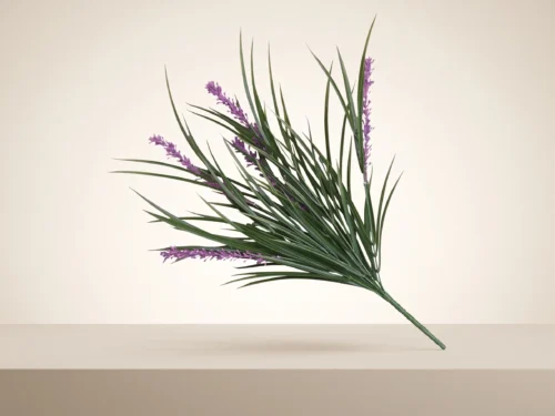 Liriope Grass Bush, Purple / Green ID# LRO+T22P