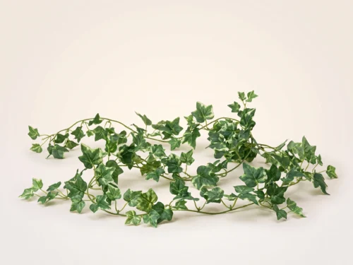 Lace Ivy Garland, Green ID# IVL#72G