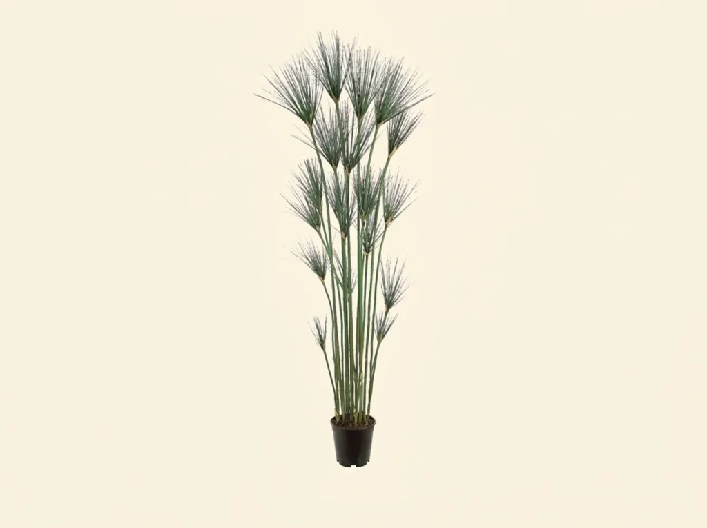 Artificial King Tut Egyptian Grass