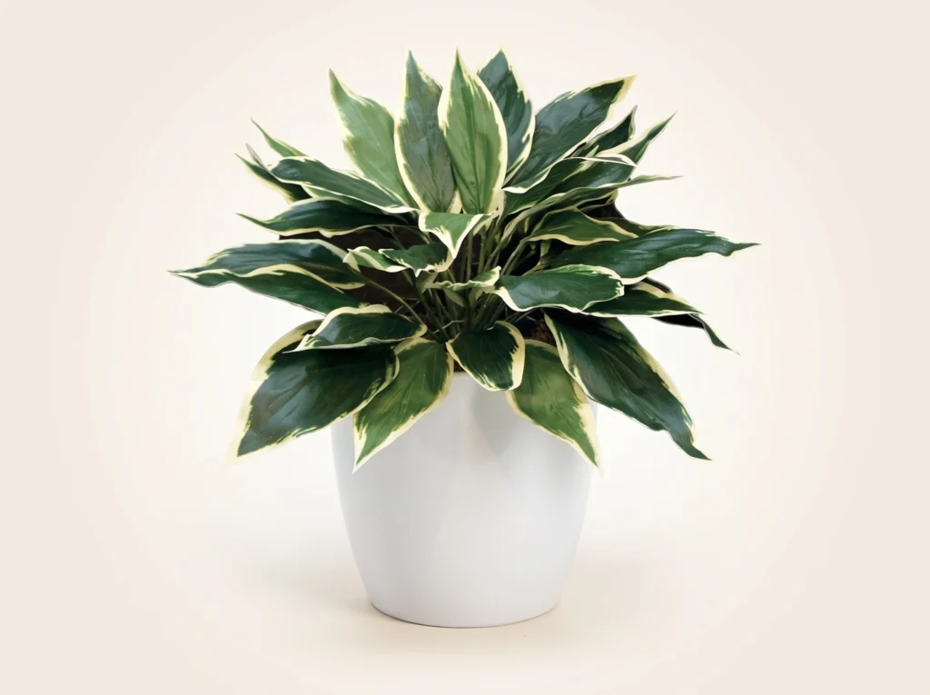 Artificial Hosta Plant