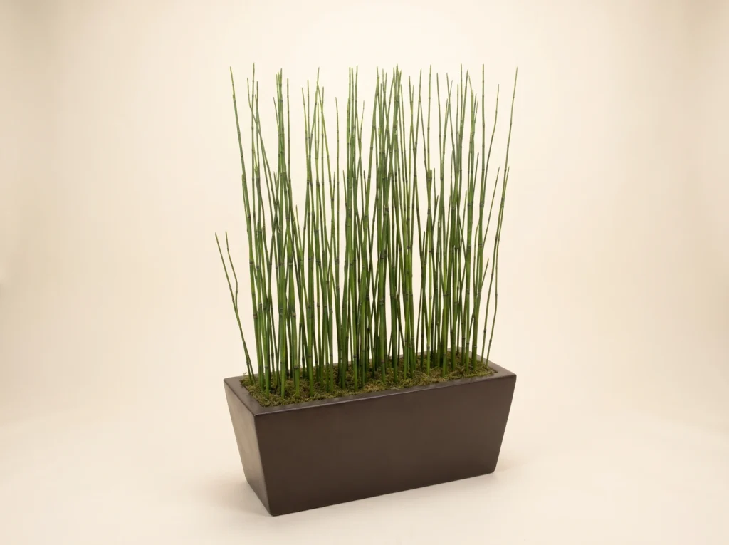 Potted Artificial Horsetail Equisetum Puzzlegrass Plant