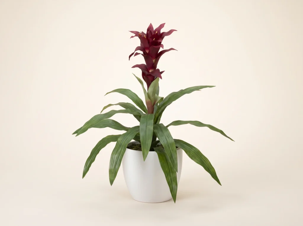 Artificial Flowering Bromeliad Guzmania Plant