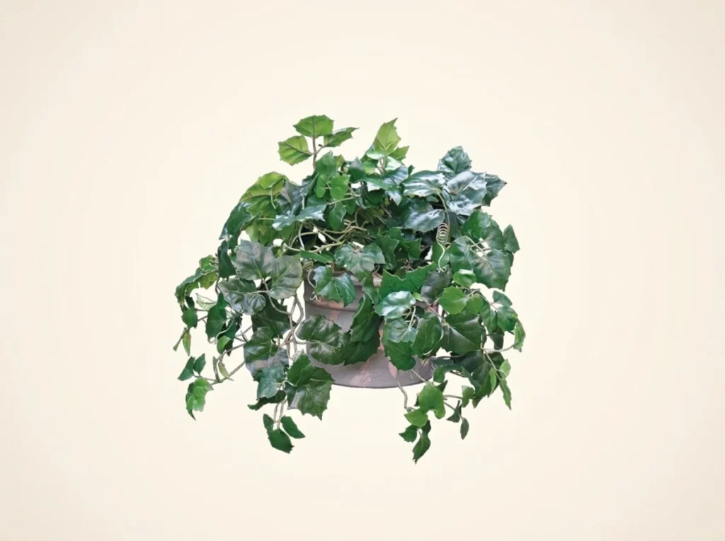 Artificial Grape Ivy Vines
