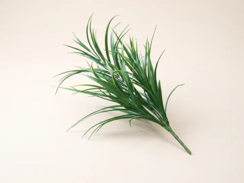 Field Grass Foliage ID# GFL#26