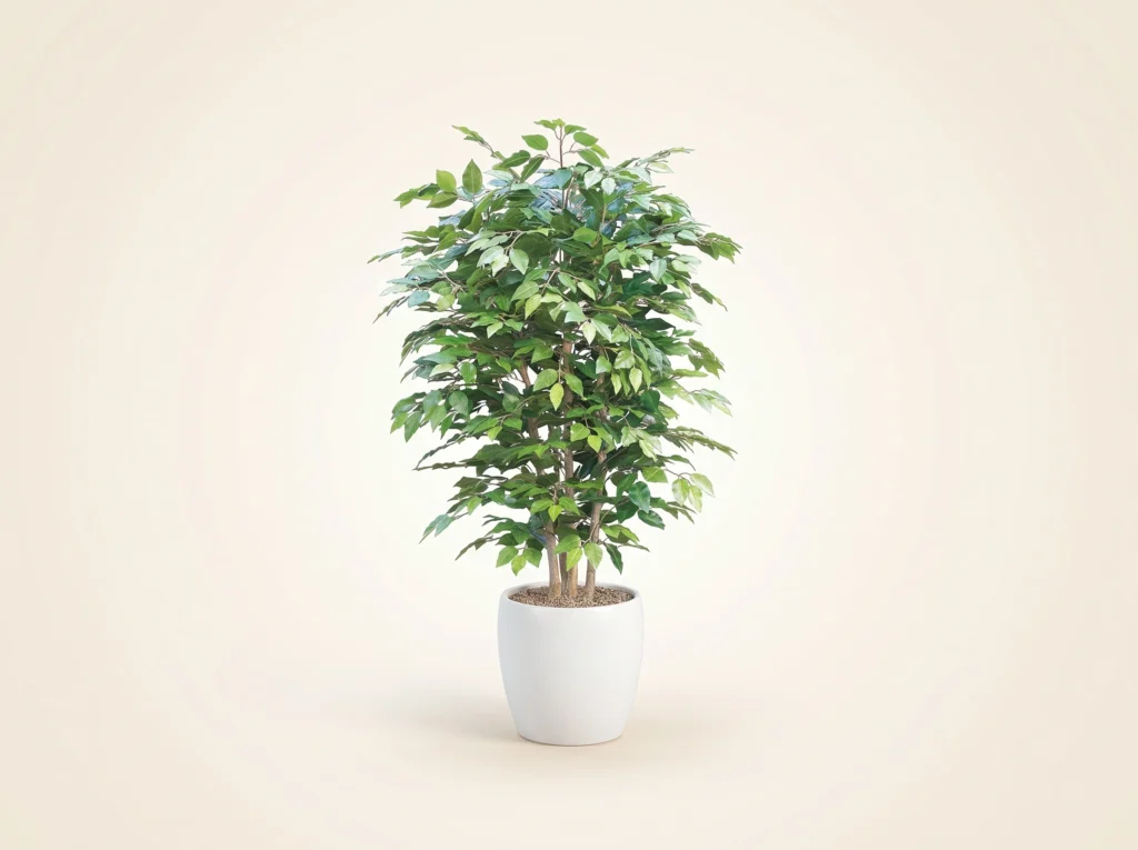 Artificial Ficus Benjamina Indoor Plant