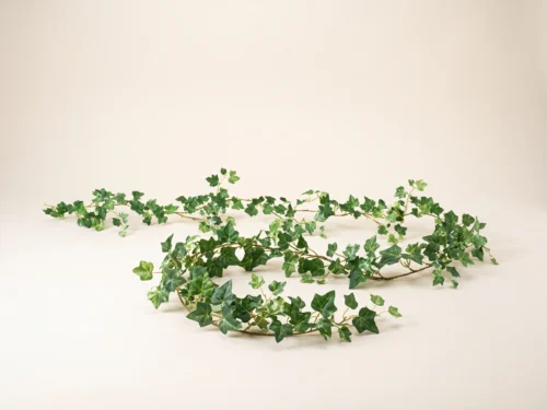 English Ivy Garland ID# IVE+72