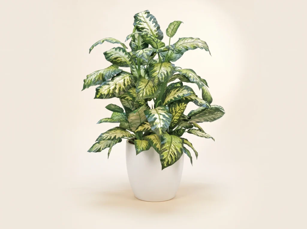Fake Dieffenbachia Plant