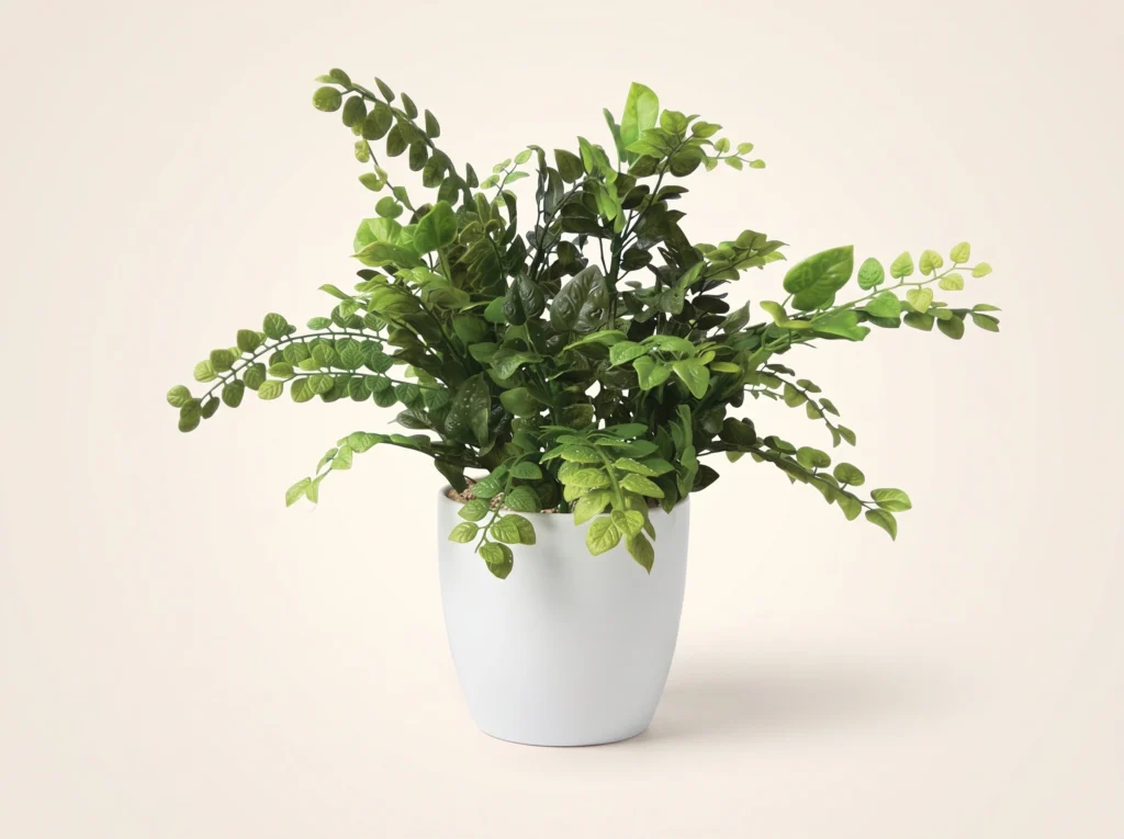 Artificial Creeping Fig Plant