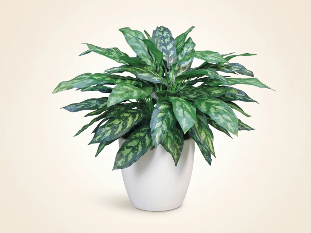 Artificial Chinese Evergreen Maria Plants