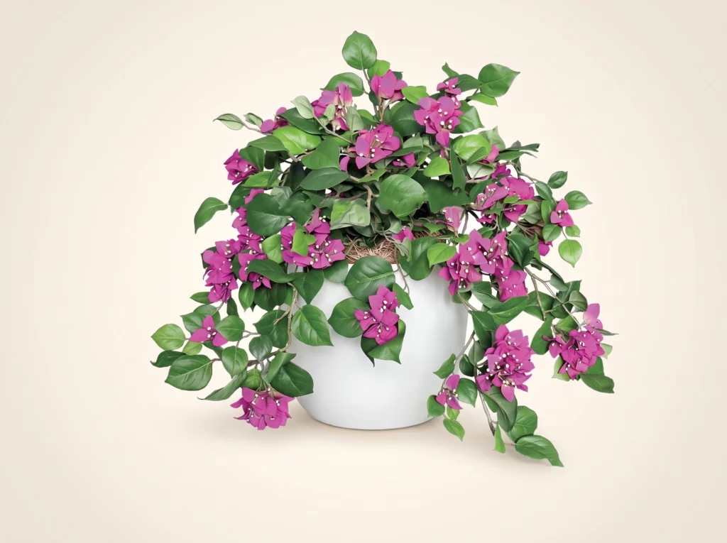 Faux Bougainvillea Plants in Pots