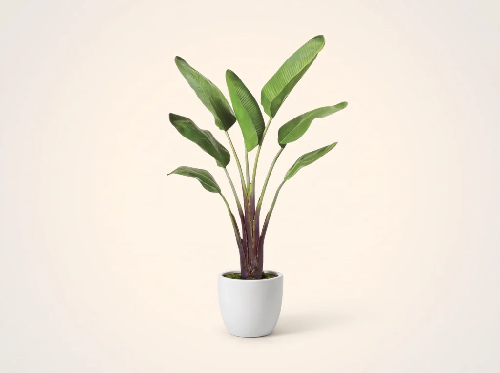 Faux Bird of Paradise Plant