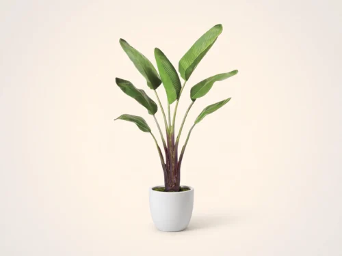 Faux Bird of Paradise Plant ID# PRG-975LTLS