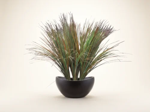 Fake Beach Grass ID# GBE428D