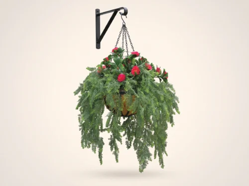Azalea & Asparagus Fern Commercial Hanging Basket ID# FEAAZA14B+