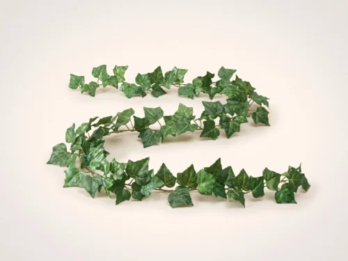 Algerian Ivy Garland ID# ALG#72