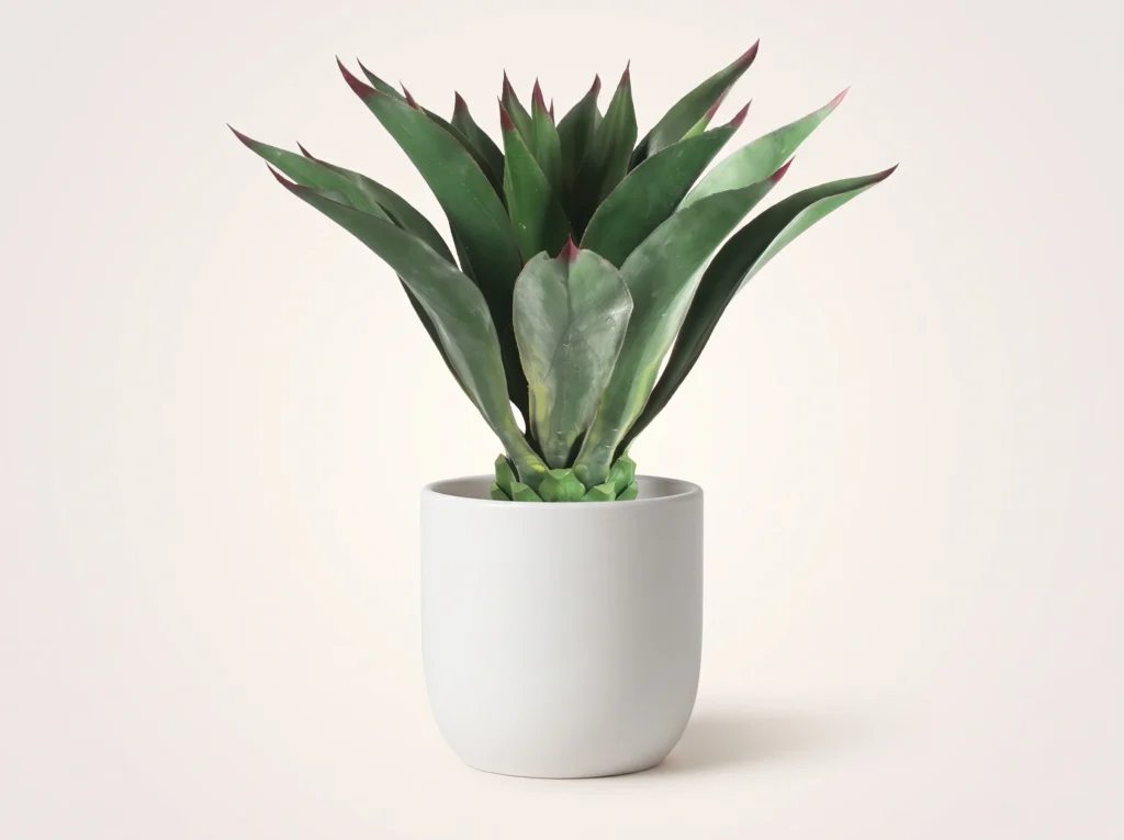 Artificial Aeonium Succulent Plant