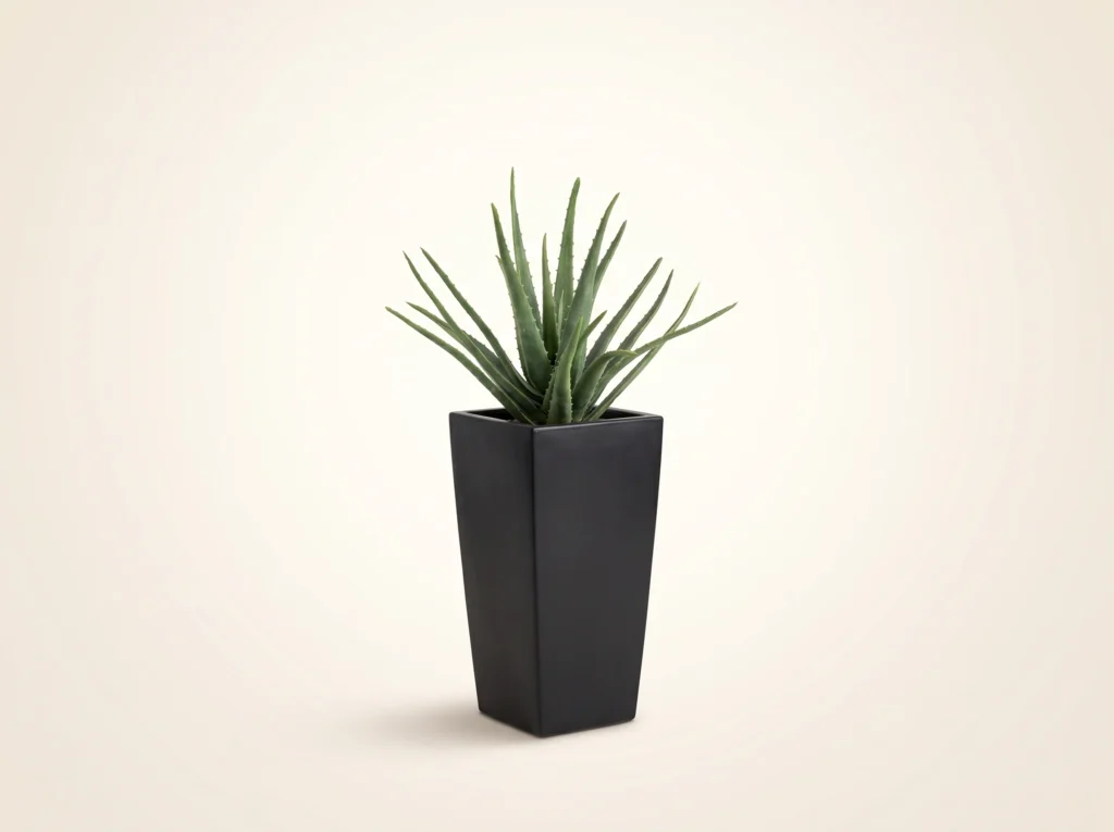 Fake Aloe Plant Indoor