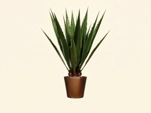 Artificial Agave Plant ID# PNGYG123053PS