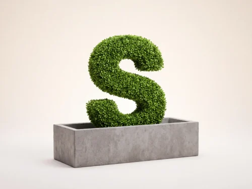 Boxwood Alphabet ID# 