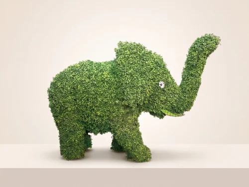 Topiary Animals ID# -