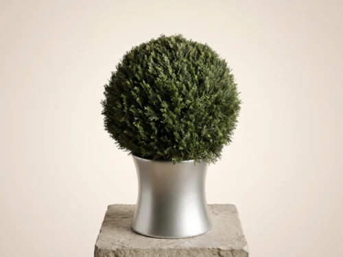 Cypress Topiary Ball ID# P3203PS