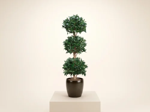 Bayleaf Topiary Balls ID# BL3B66