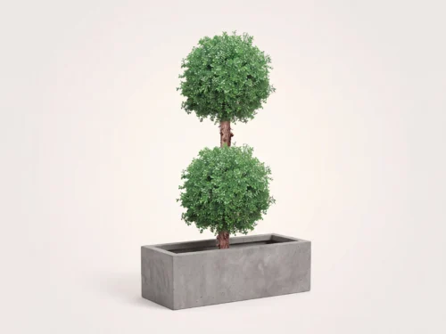 Outdoor Boxwood Sphere ID# BOX2B72+