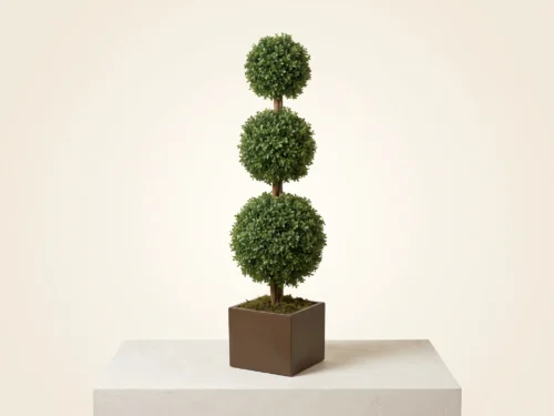 Outdoor Boxwood Ball Topiary ID# BOX3B96+
