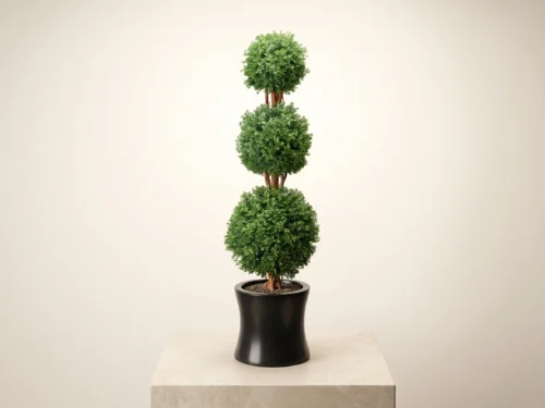Boxwood Ball Topiary ID# BOX3B96