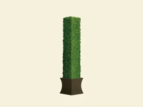 Boxwood Outdoor Topiary Column ID# BOXSC96+